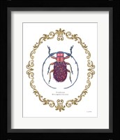 Adorning Coleoptera II Fine Art Print