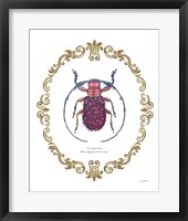Adorning Coleoptera II Framed Print