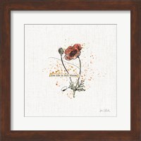 Thoughtful Blooms IV Fine Art Print