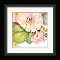 Desert Rose IV Framed Print