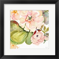 Desert Rose IV Framed Print