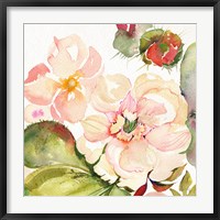 Desert Rose III Fine Art Print