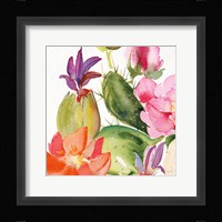 Desert Rose II Framed Print