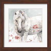 Wild Horses V Fine Art Print