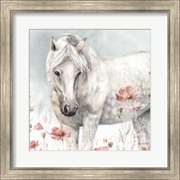 Wild Horses V Fine Art Print