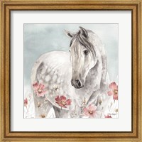 Wild Horses IV Fine Art Print