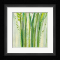 Longstem Bouquet II Square III Framed Print