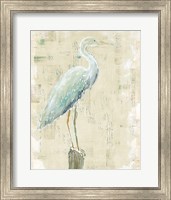 Coastal Egret I v2 no Aqua Fine Art Print