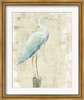 Coastal Egret I v2 no Aqua Fine Art Print