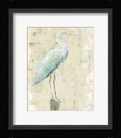 Coastal Egret I v2 no Aqua Fine Art Print