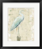 Coastal Egret I v2 no Aqua Fine Art Print