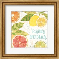 Citrus Splash III Fine Art Print