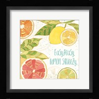 Citrus Splash III Framed Print