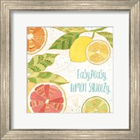 Citrus Splash III Fine Art Print