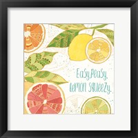 Citrus Splash III Framed Print