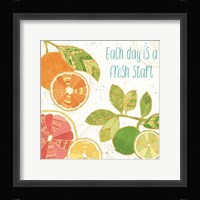 Citrus Splash IV Framed Print