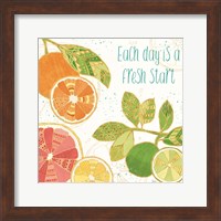 Citrus Splash IV Fine Art Print