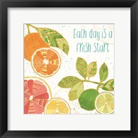 Citrus Splash IV Fine Art Print