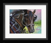Charleston Working Horse Fine Art Print