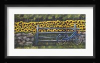 Resting At Buttonwoods Framed Print
