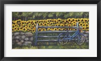 Resting At Buttonwoods Framed Print