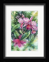 Pink Orchid Fine Art Print