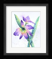Purple Orchid Fine Art Print
