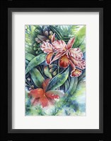 Red Orchid Fine Art Print