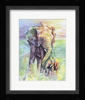 Mother & Baby Elephant Rainbow Colors Fine Art Print