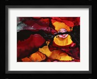 Endless Moon Fine Art Print