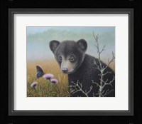 Curious Cub Fine Art Print