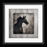 Gypsy Horse Collection V1 5 Framed Print