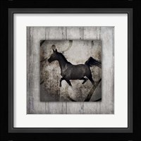 Gypsy Horse Collection V1 7 Framed Print