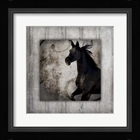 Gypsy Horse Collection V1 8 Framed Print