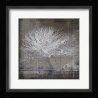 My Farm My Way Photos 13 Fine Art Print