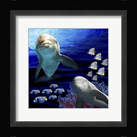 Sea Creatures Dolphines Fine Art Print