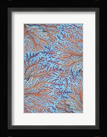 Sea Creatures Surface Pattern 1 Framed Print
