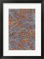 Sea Creatures Surface Pattern 2 Framed Print