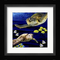 Sea Creatures Turtle Fine Art Print