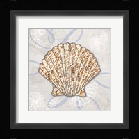 Sea Side Gypsy - Shell Framed Print