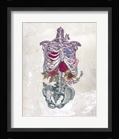 Flowers From Within Fine Art Print