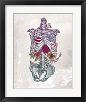 Flowers From Within Fine Art Print