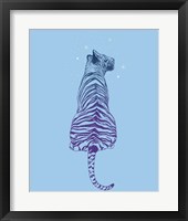 Tiger Wonder Fine Art Print