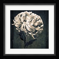 Mum Texture Fine Art Print