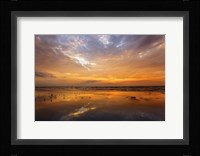 Port Aransas Campground Sunrise Fine Art Print
