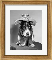 Bassett Hound Dog With Ice Pack On Head Fine Art Print