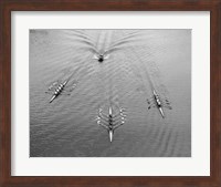 1950s Aerial View Of Rowing Competition Fine Art Print