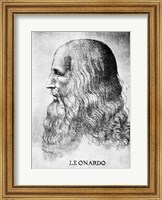 Self Portrait Of Leonardo Da Vinci Circa 1512 Fine Art Print