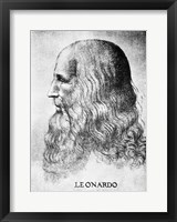 Self Portrait Of Leonardo Da Vinci Circa 1512 Fine Art Print