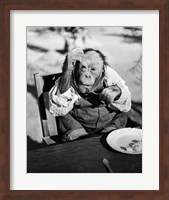 1930s Very Old Chimpanzee Fine Art Print